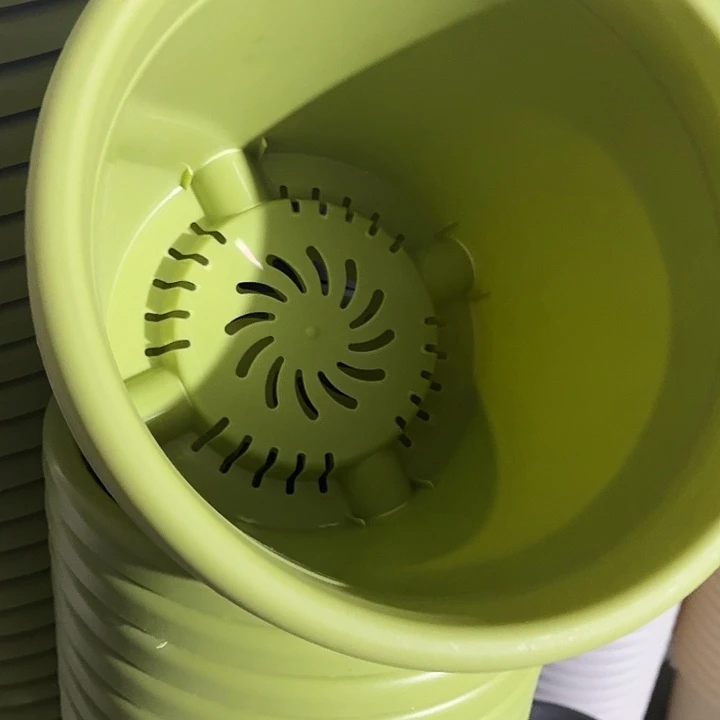 四季5号果绿无托10个特价