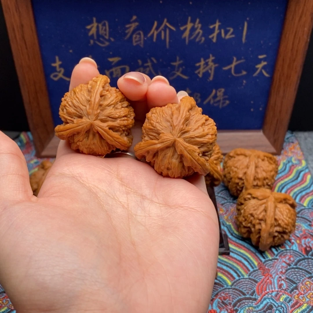 【闪购商品】红*白狮