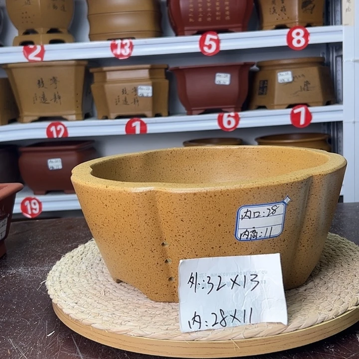 紫砂花盆蛇年大吉