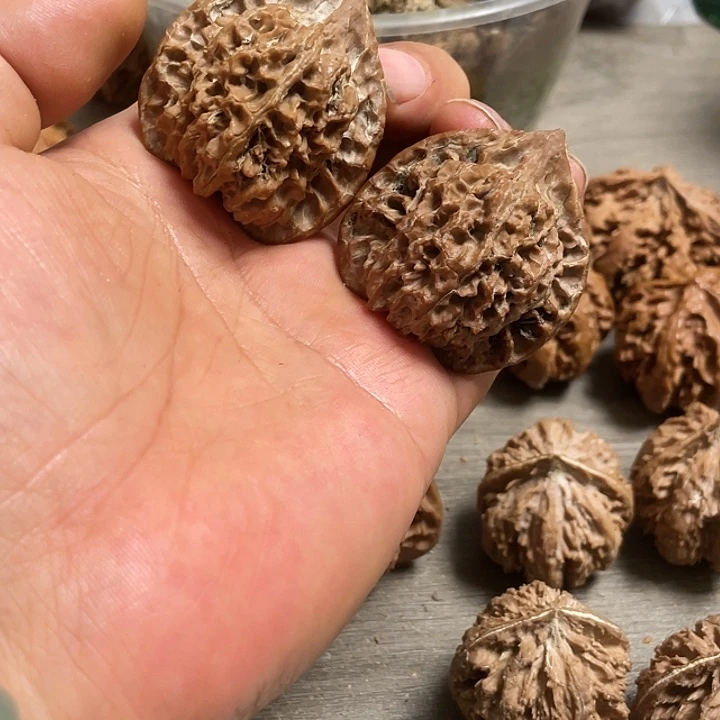 【闪购商品】清*Q龙鳞官帽11111111111