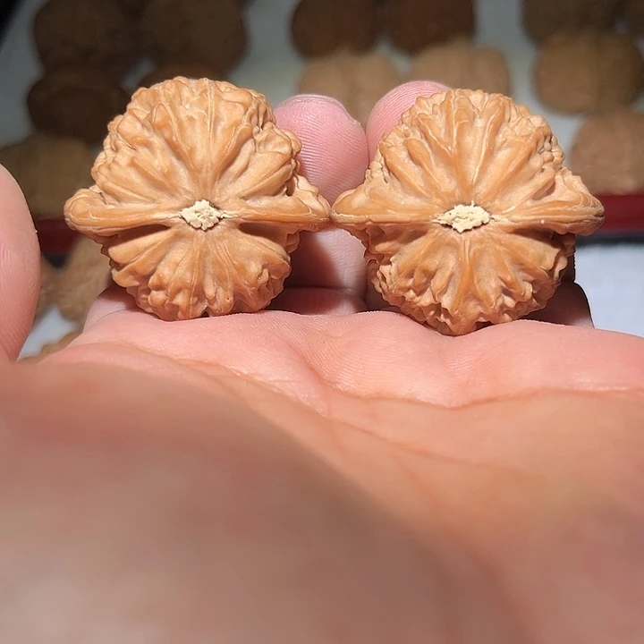 木40全品宫灯。