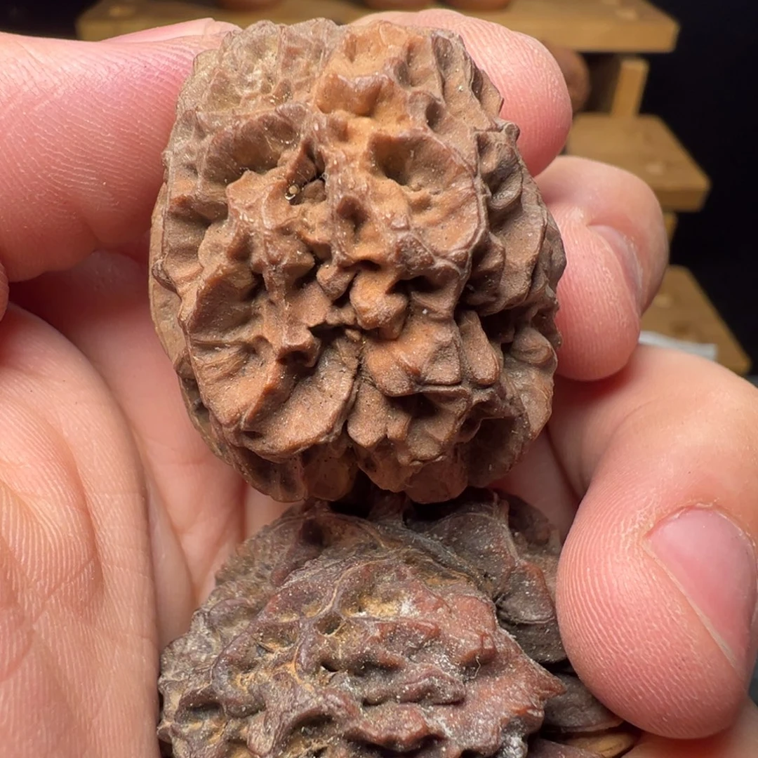 文玩核桃吊坠舍利子37mm