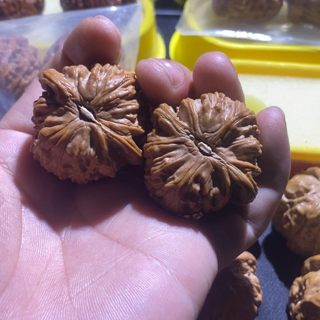 峰***了老树白狮子满肉！！！！！！！