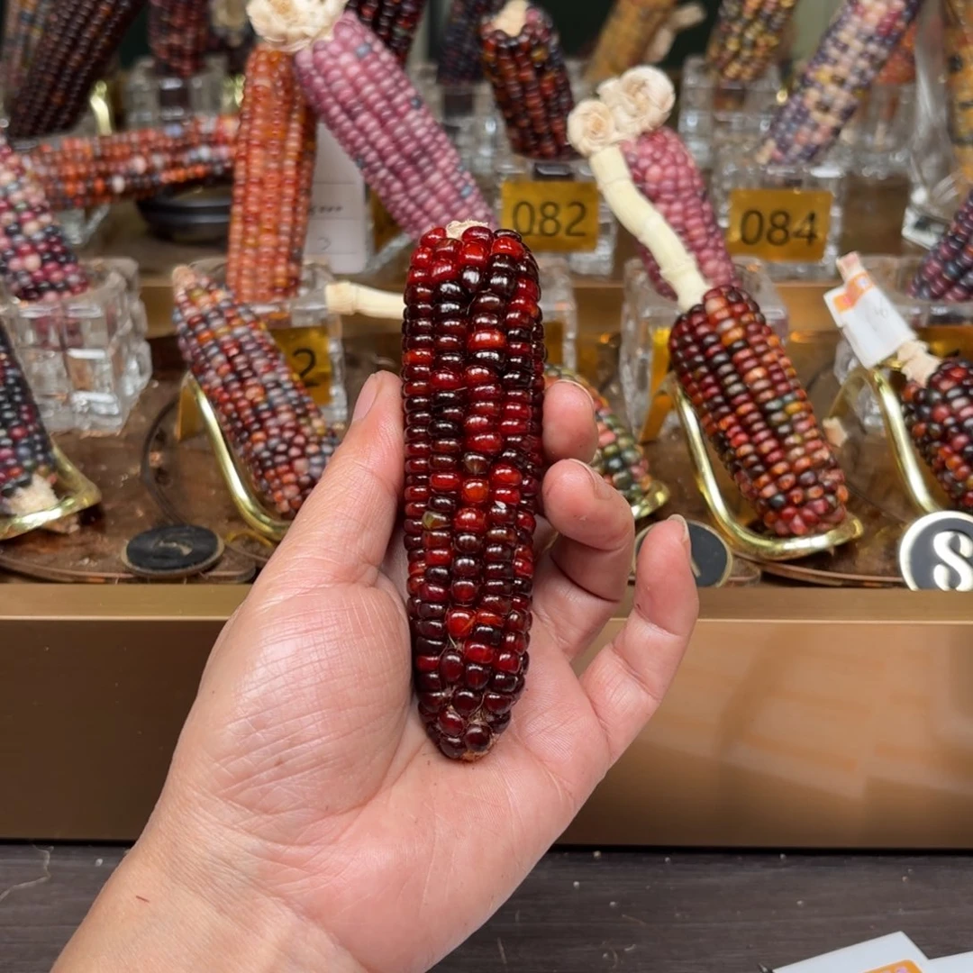 柏香籽/百香籽吊坠J****n