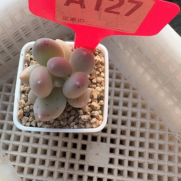 、***笑x b d b d b n d k 127