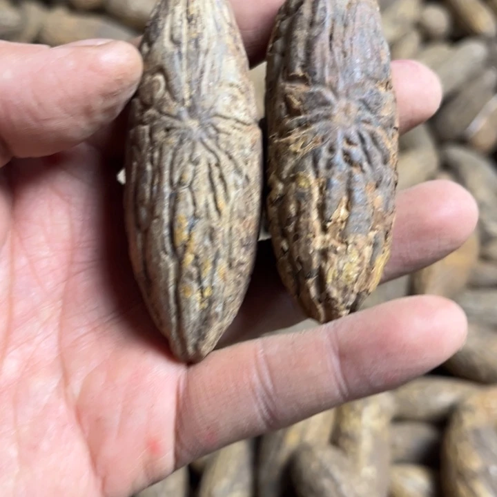 千眼菩提吊坠千眼菩提第99