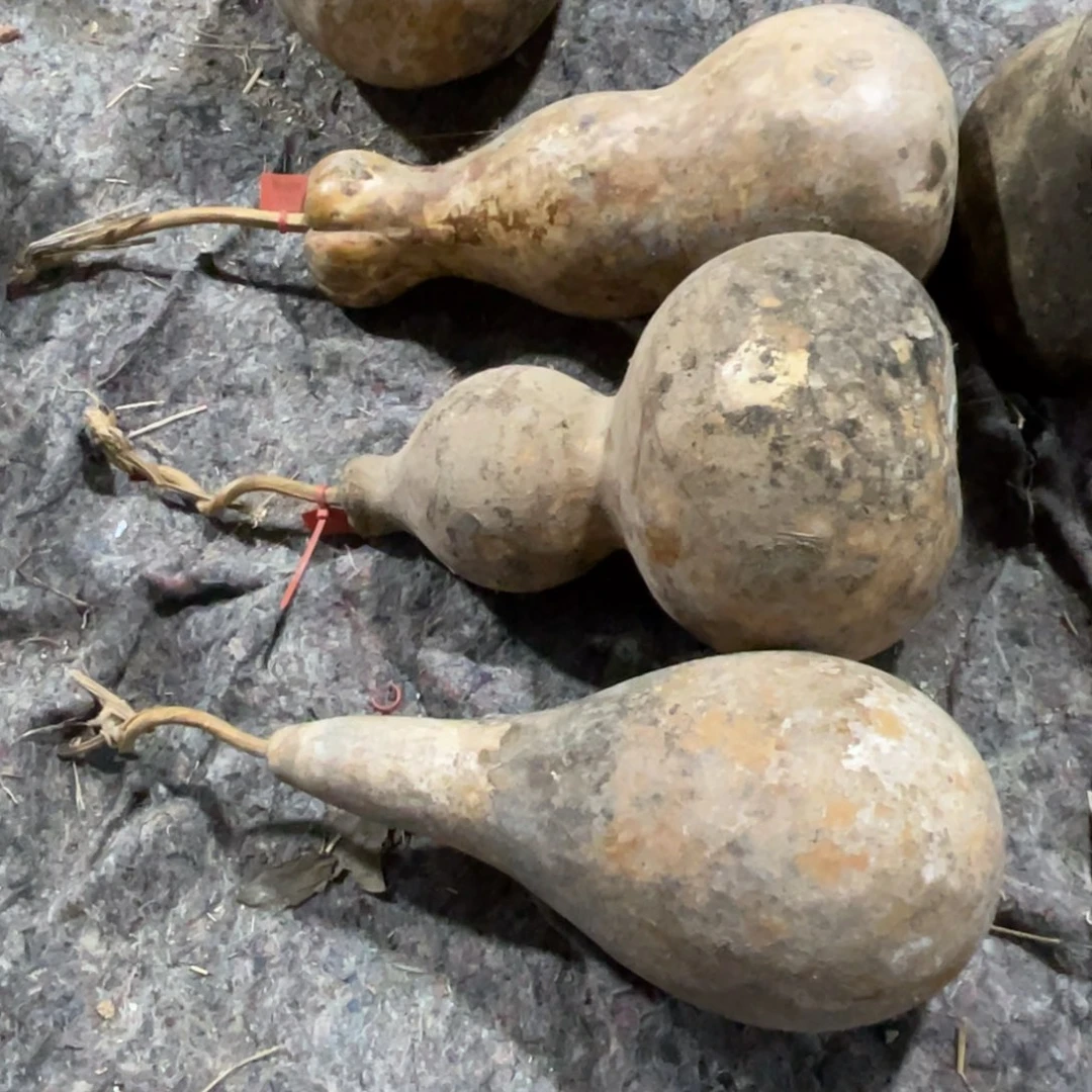 最***后银S925葫芦直播间一物一拍