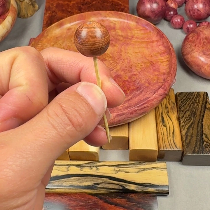 小叶羊蹄甲1.5规格