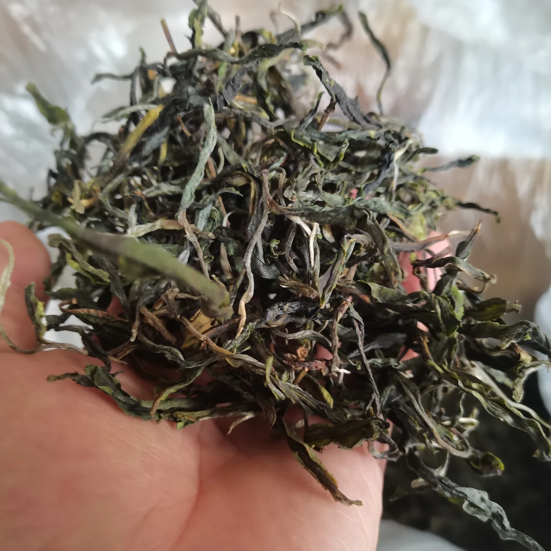 2025年头春头采昔归忙麓山，正山古树，核心产区，抢先尝鲜