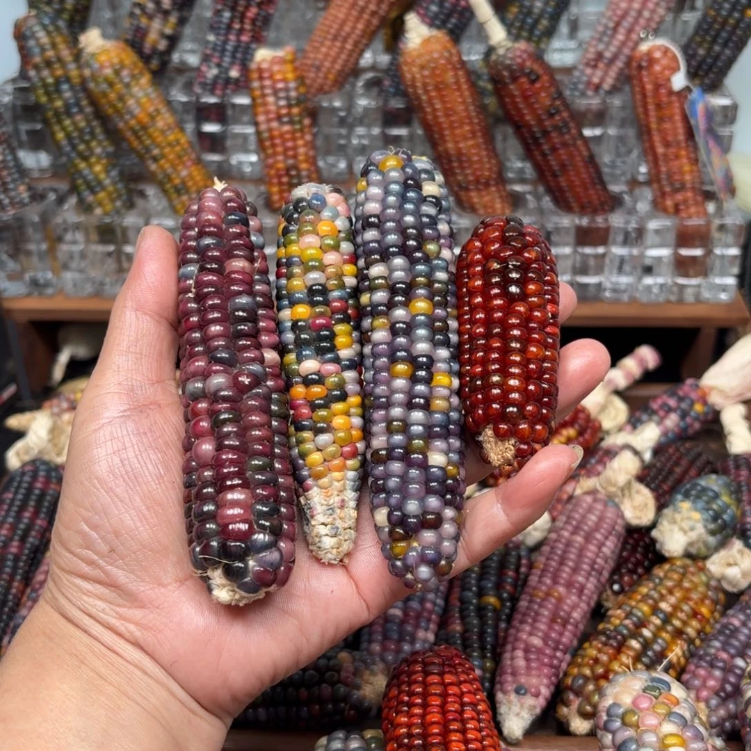 柏香籽/百香籽吊坠阿*ޓ