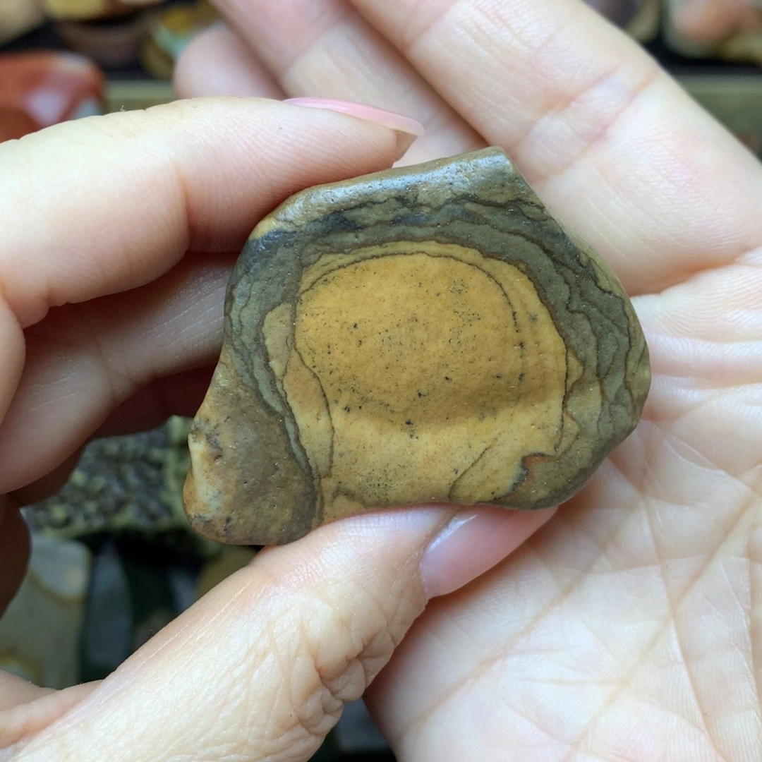 57899864346789864434