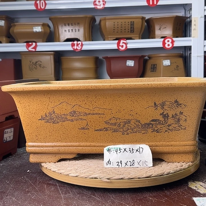 紫砂花盆蛇年大吉