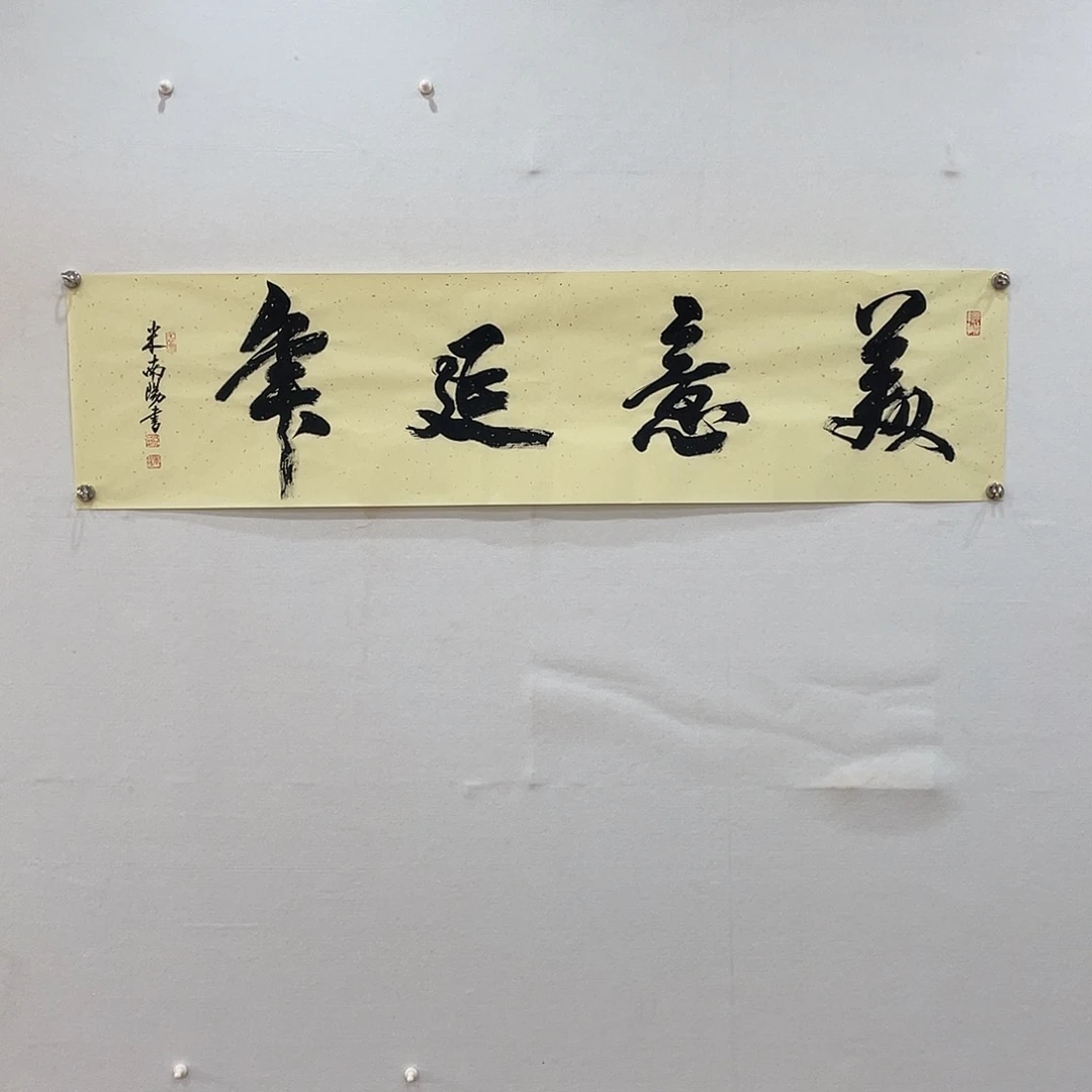 横款博航艺术书法作品集