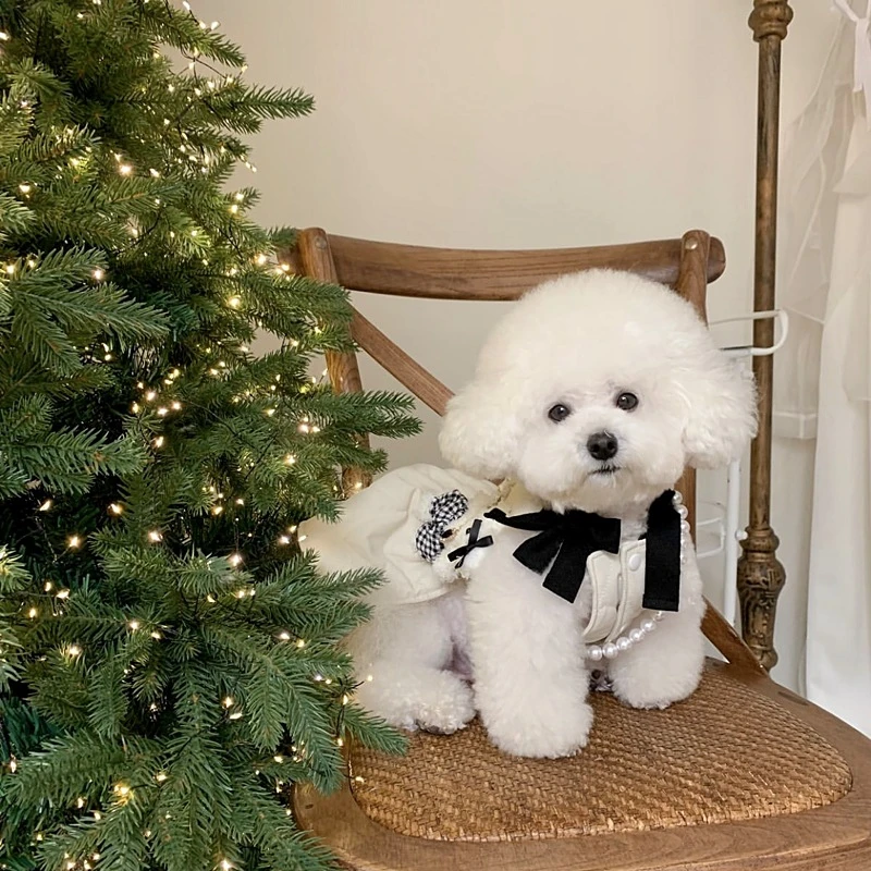 宠物公主棉裙泰迪比熊博美约克夏马尔济斯猫猫咪小狗狗衣服春秋装