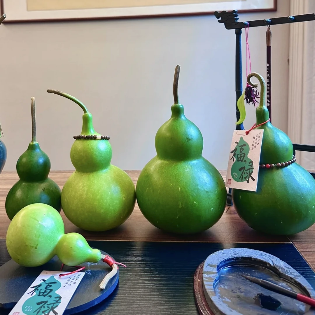 新鲜葫芦果天然绿皮青皮葫芦摆件观赏装饰中式福禄果吉祥好运