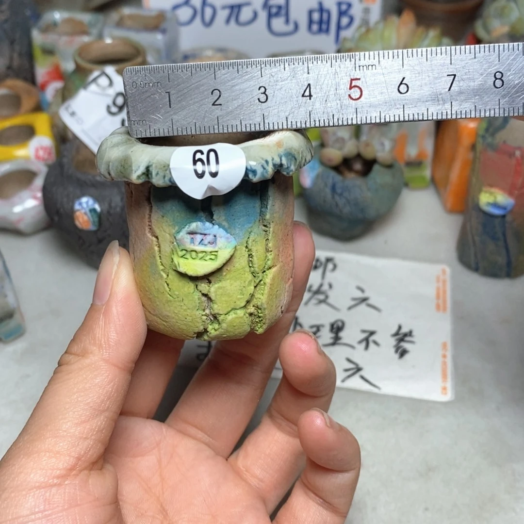拍5送一个小礼物
