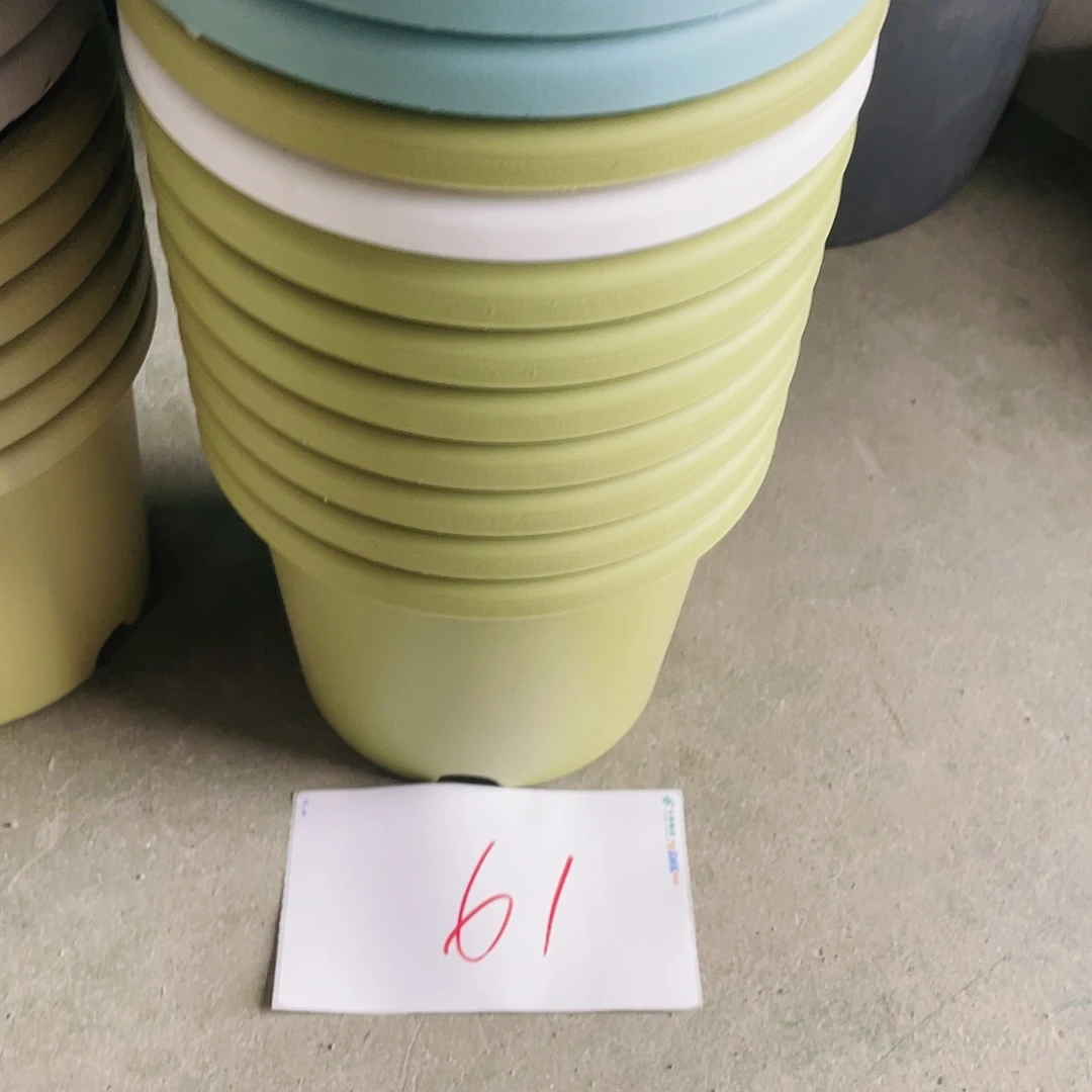 编号61编号61编号61