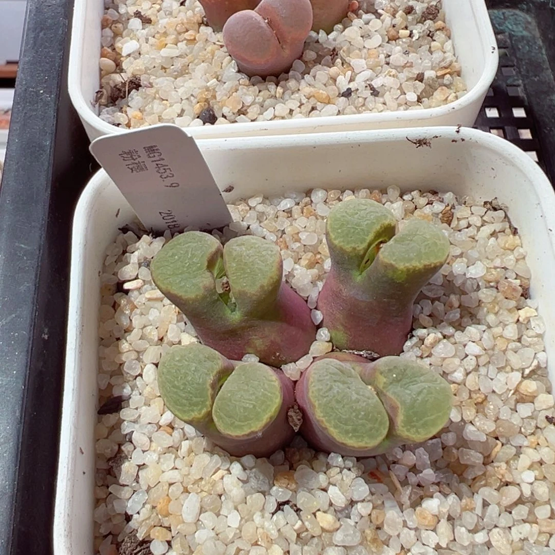 ?****?210-251.我是真的不