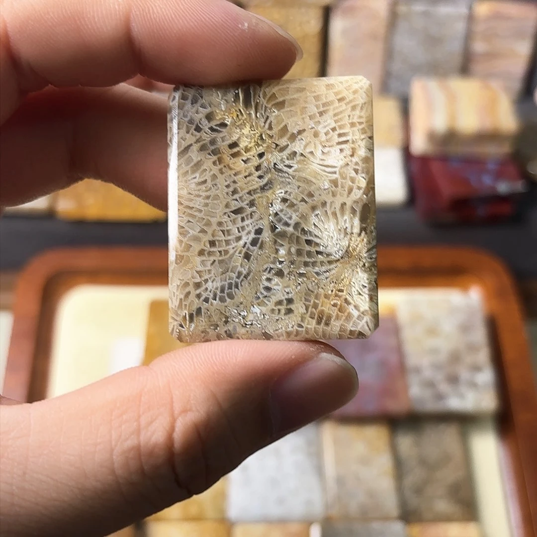 硅化玉颈饰未镶嵌无***语