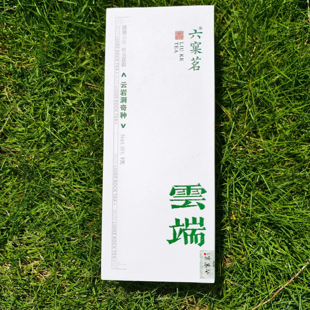 六窠茗【云端】云岩洞奇种