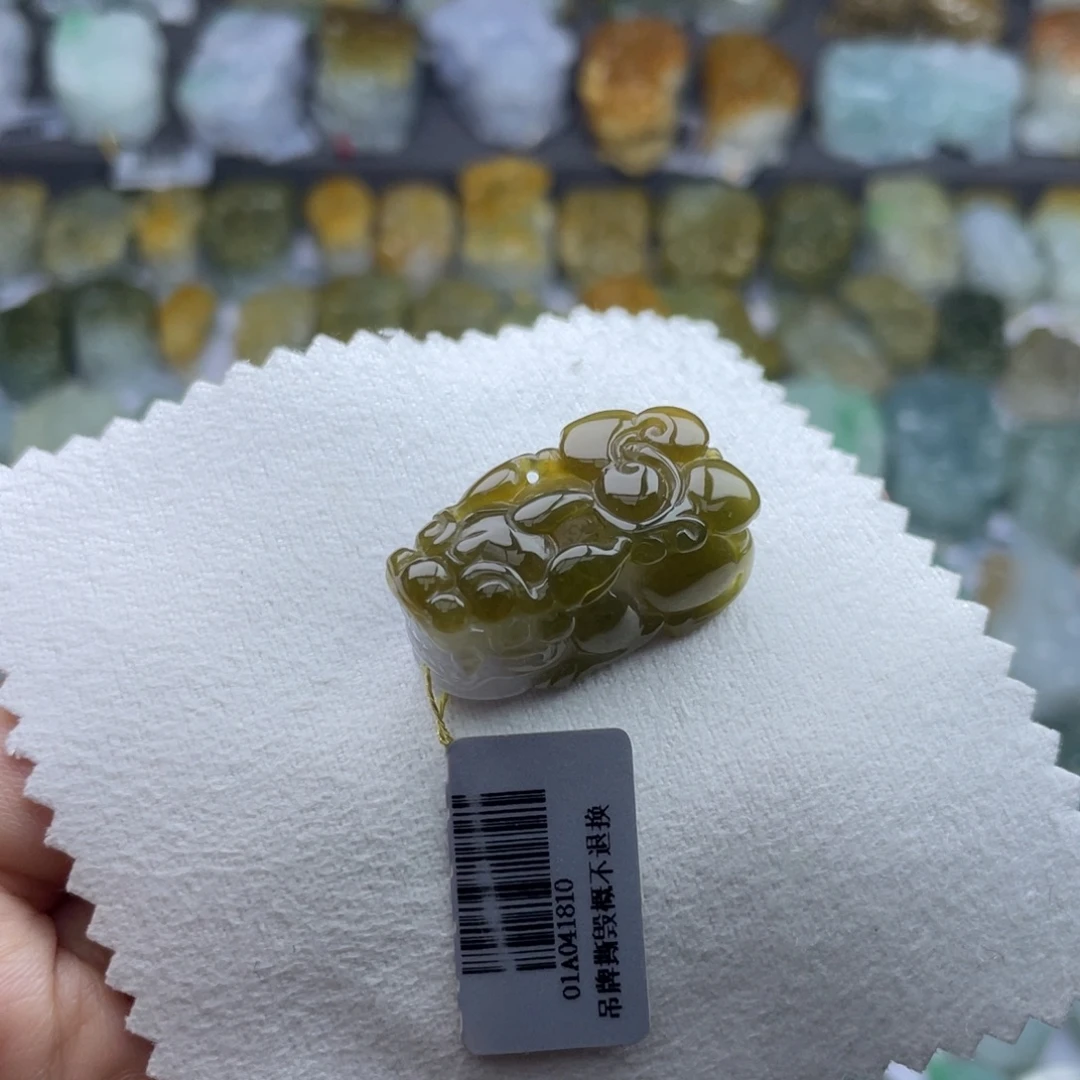 翡翠未镶嵌颈饰貔貅10