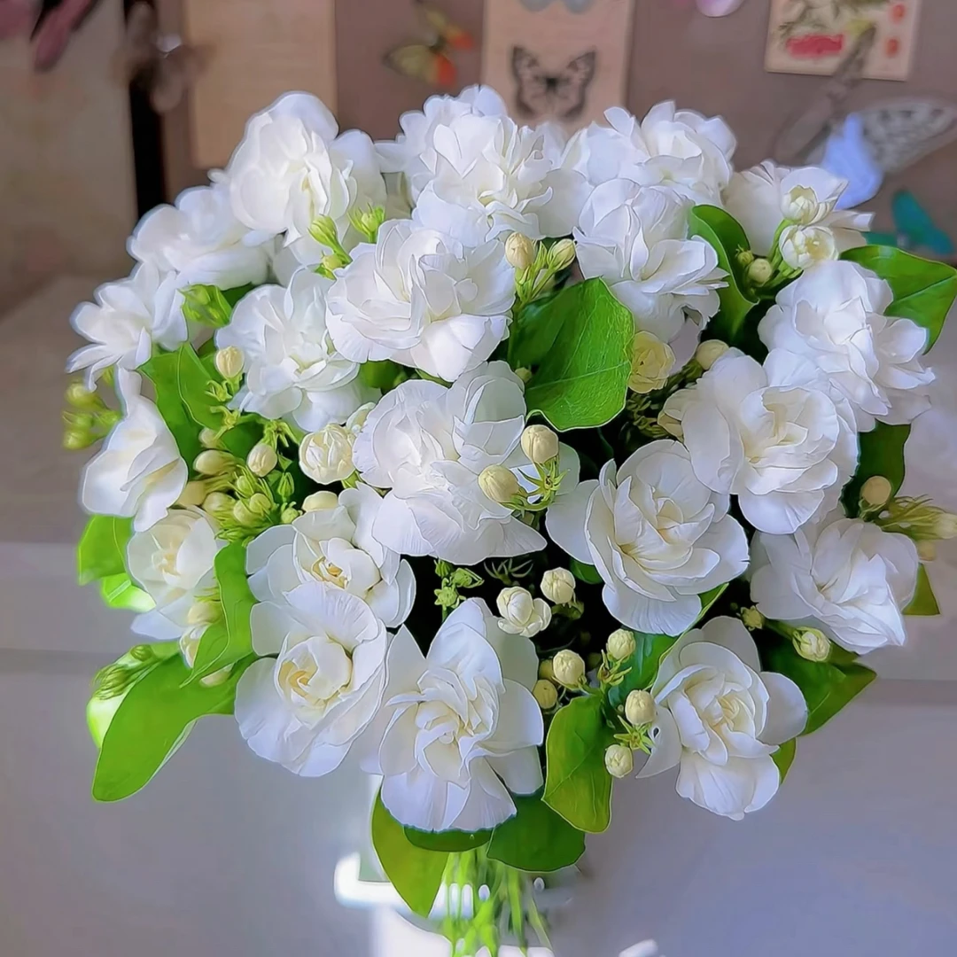 【比茉莉还茉莉】多头康乃馨，20支左右1扎，淡香
