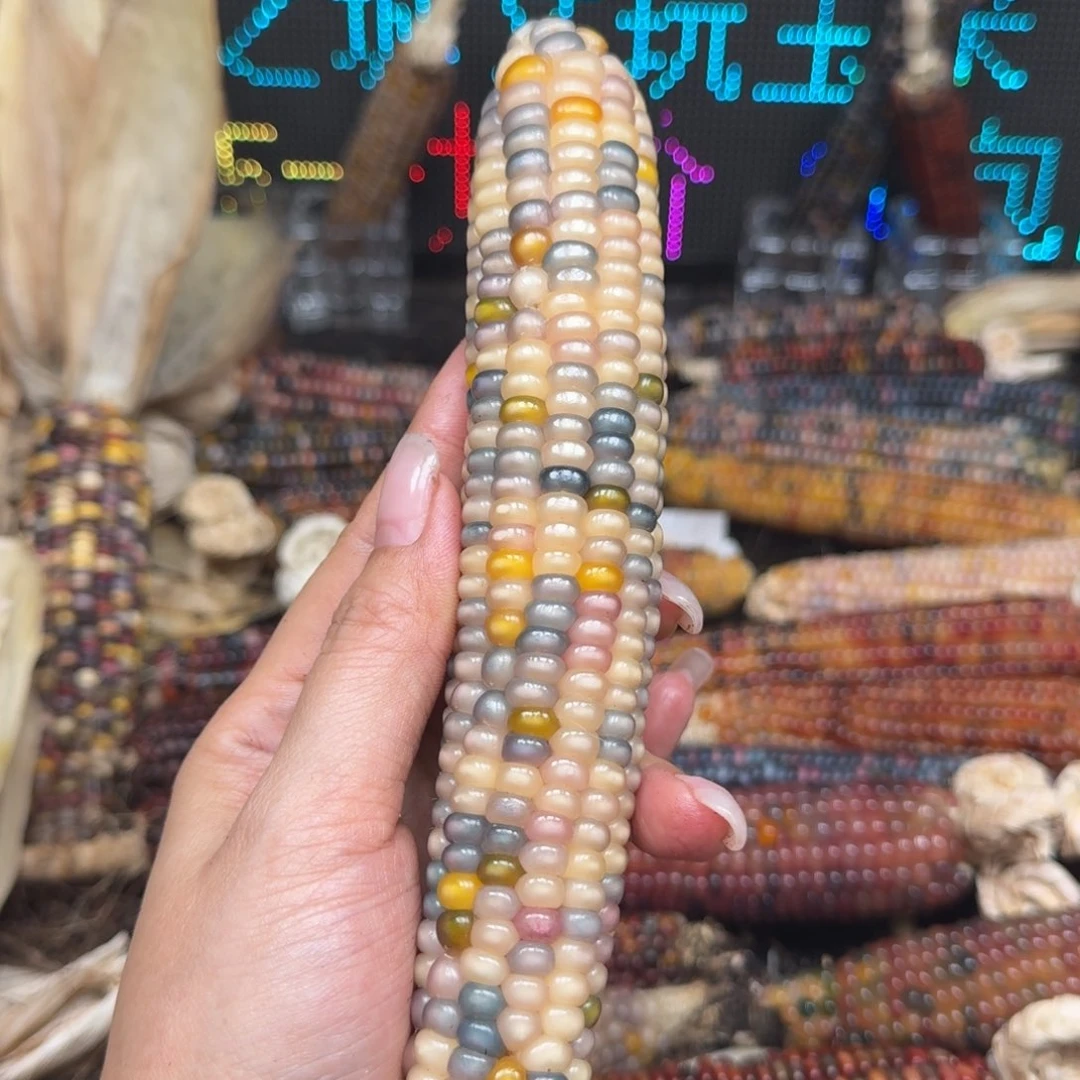 柏香籽/百香籽吊坠番*仔