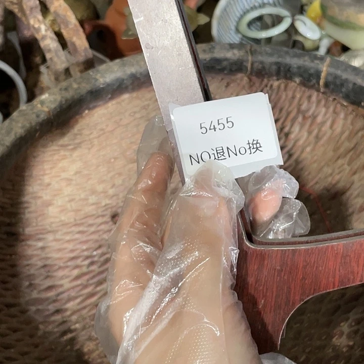「***」瓷片5455不退不换