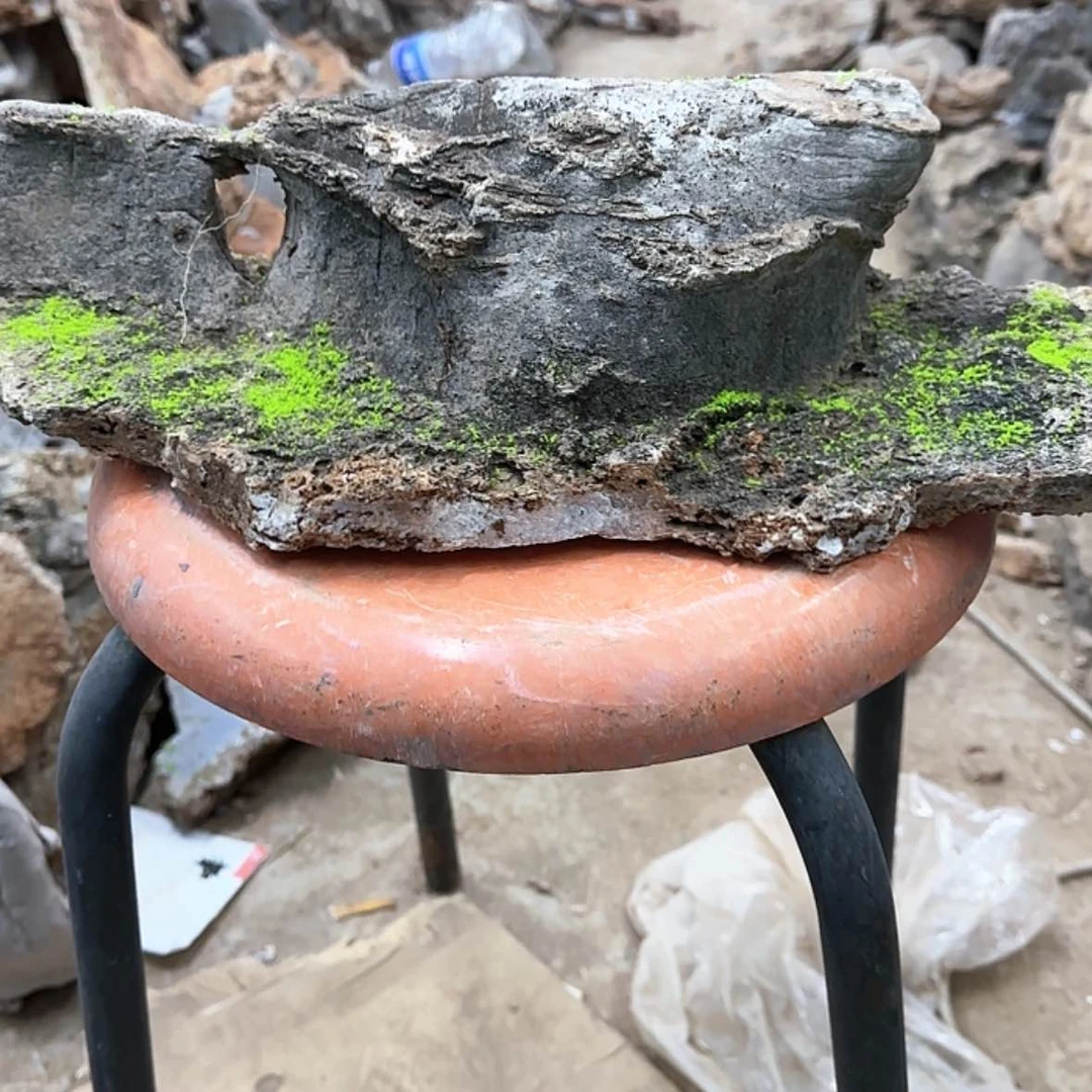 【闪购商品】香榧木观出来吃了饭再回去吃饭吃个宵夜都