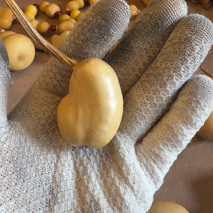 相***伴葫芦11111111111111