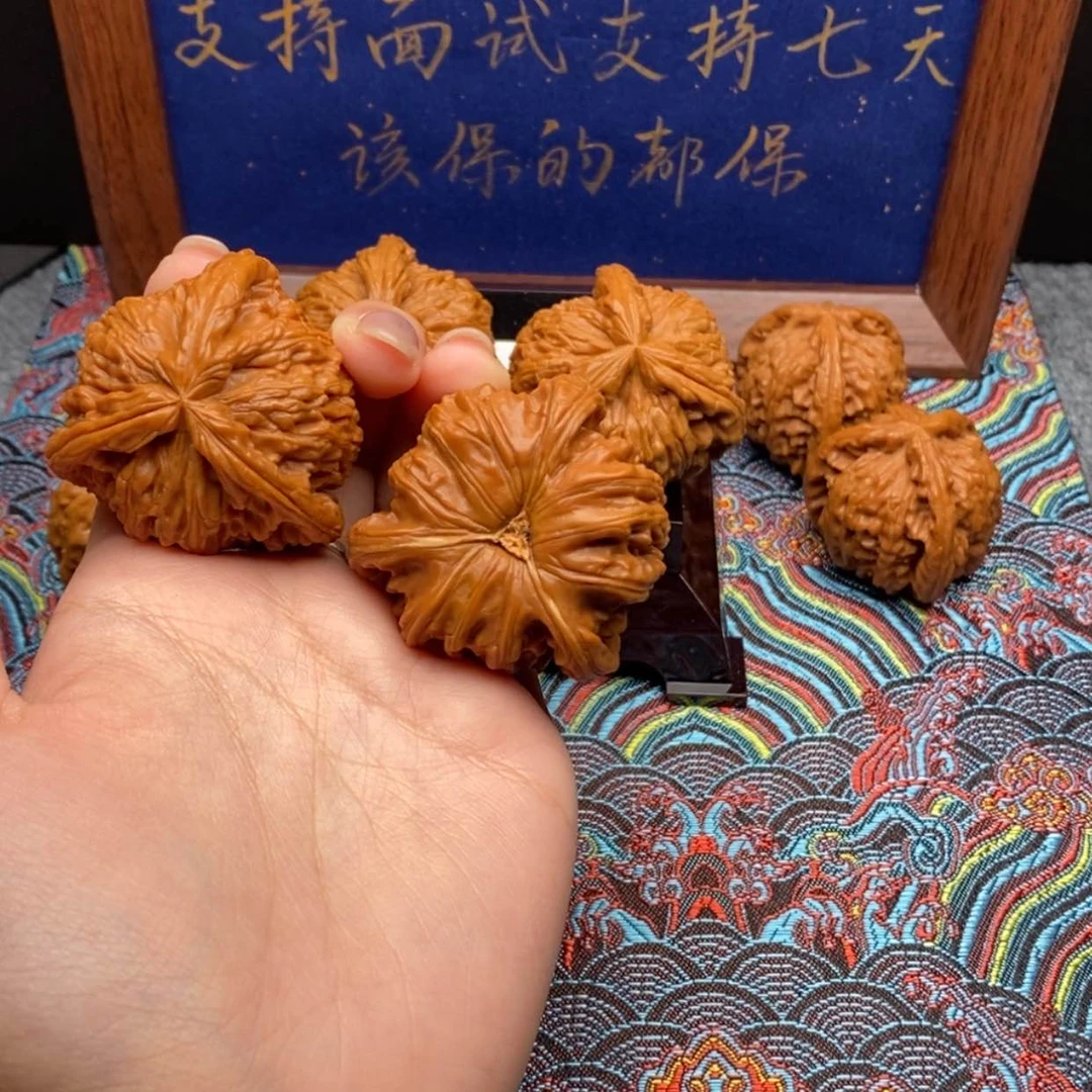 【闪购商品】我*天白狮