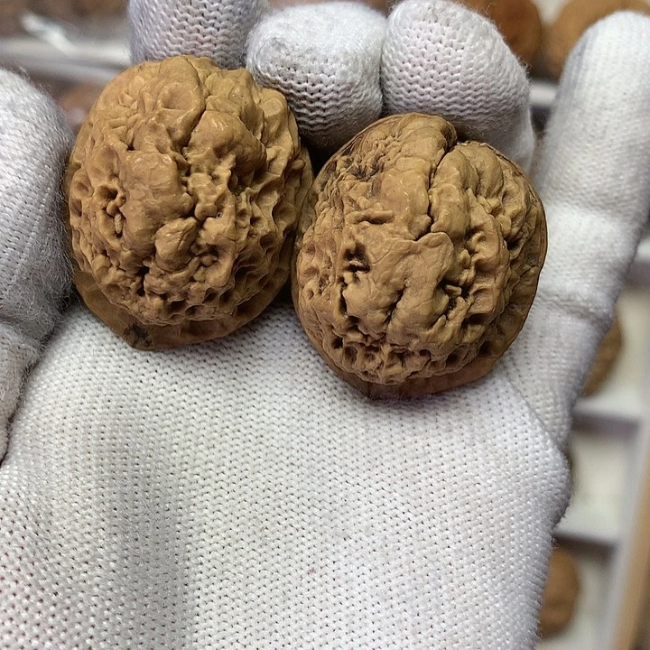 核桃38尺爆米花34号