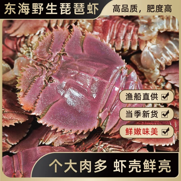 【赛龙虾】东海野生深海琵琶虾海鲜爬虾(充氧打包 包鲜 不包活)