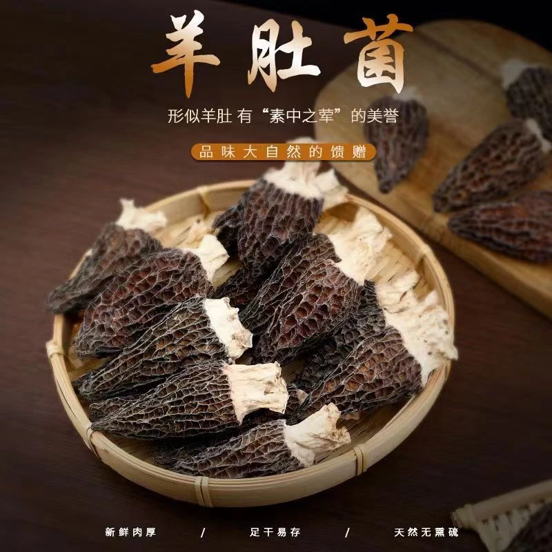 高山林地羊肚菌 3-7 羊肚菌 煲汤很鲜 奶香型羊肚菌