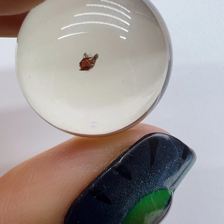 未镶嵌水晶珠宝半成品