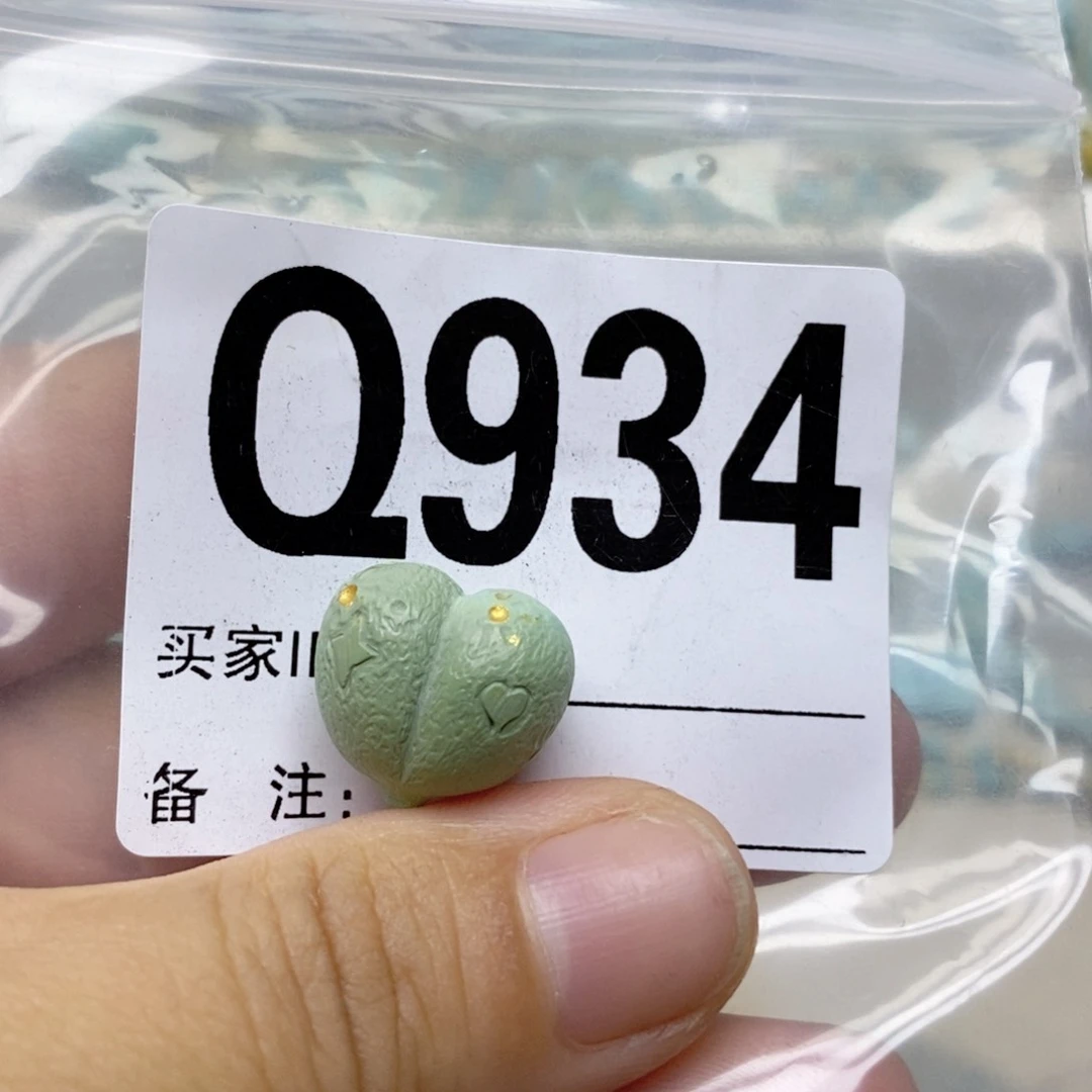 小***丁绿松石未镶嵌配饰