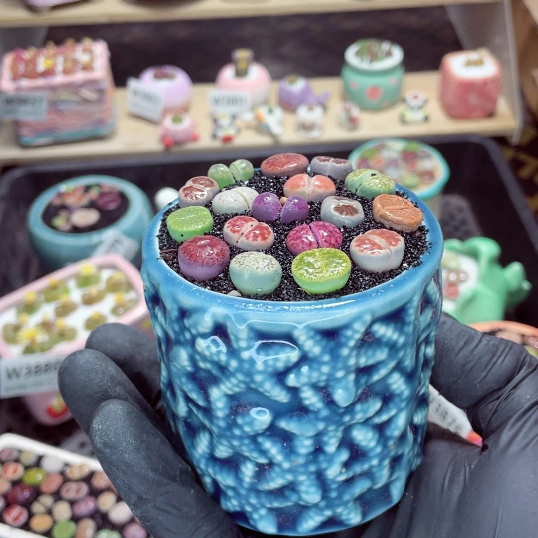 夜间零下地区拍保温箱w3881