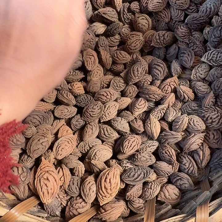 ****月精挑碧桃核特价12斤