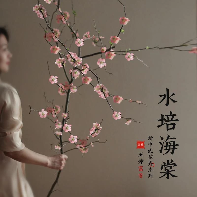 C水培海棠花鲜切花枝带花苞水养干支室内插花卉绿植盆栽四季开花