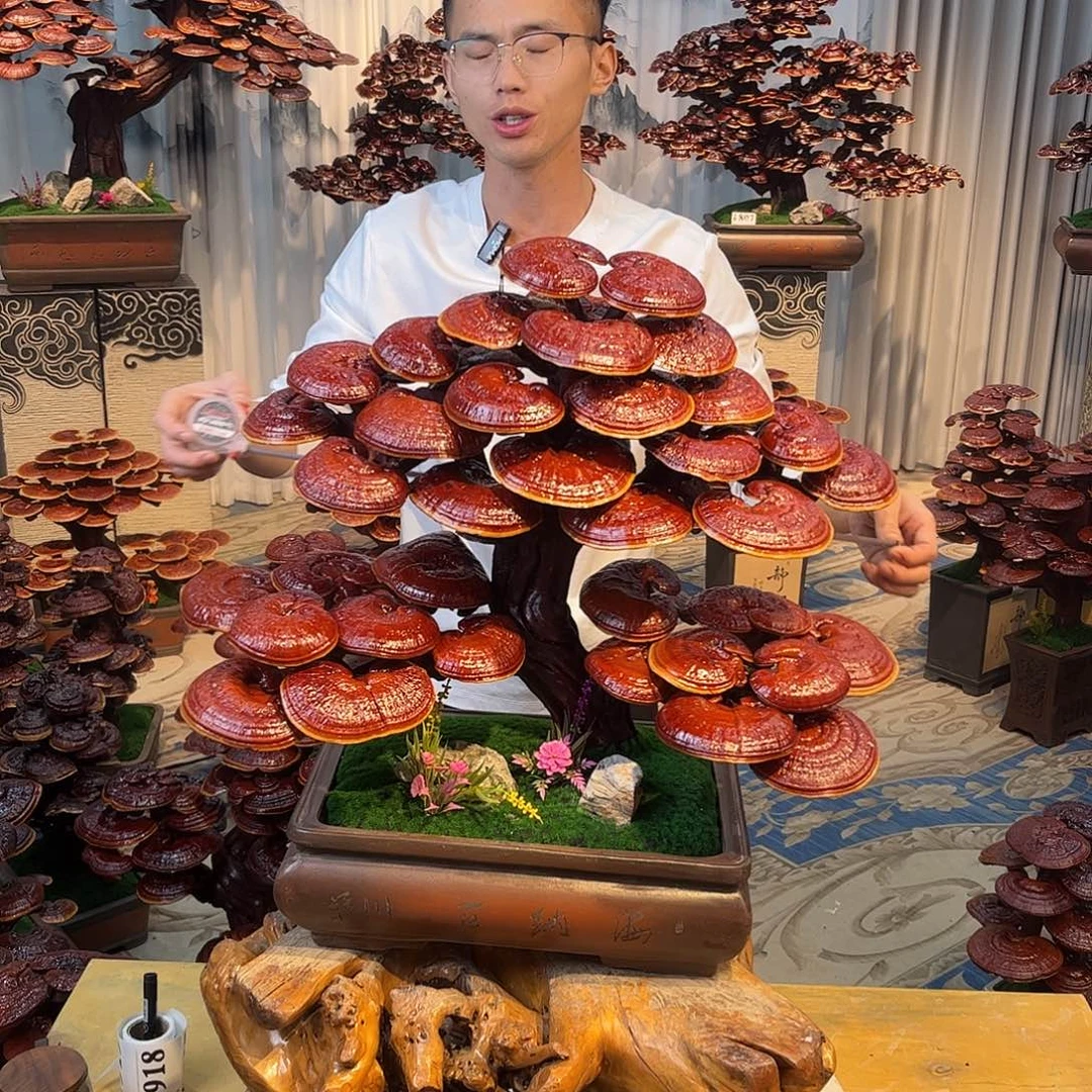 无花朵88888888888