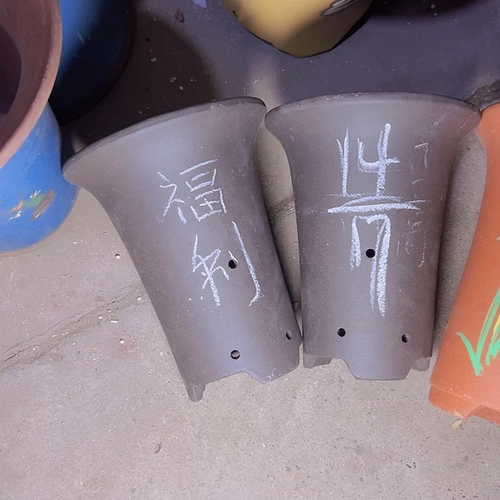 周深周深周深周深