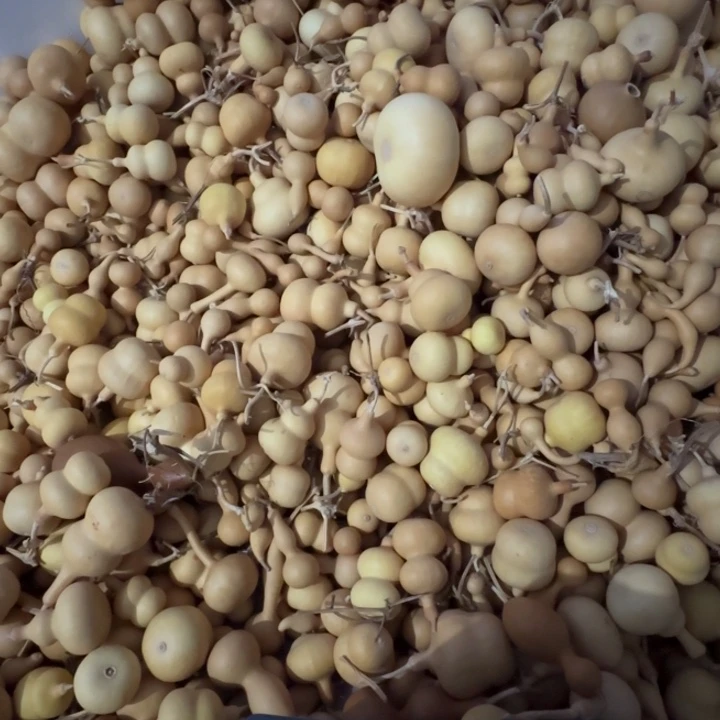 通货八宝胖墩不保龙头偏远地区不包邮