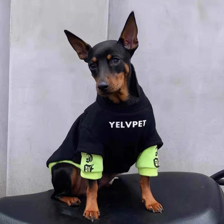 FAVMARTHA迷你杜宾犬小鹿犬专用狗狗冬衣服秋冬季小型犬吉娃娃加