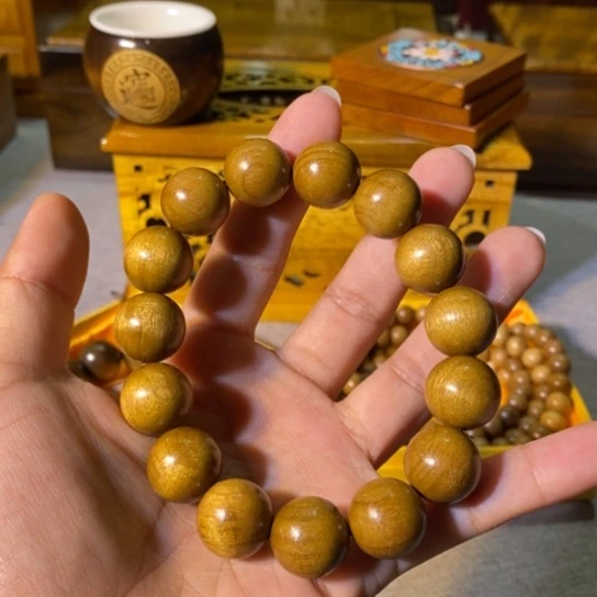 金丝楠金丝楠木小叶1.5