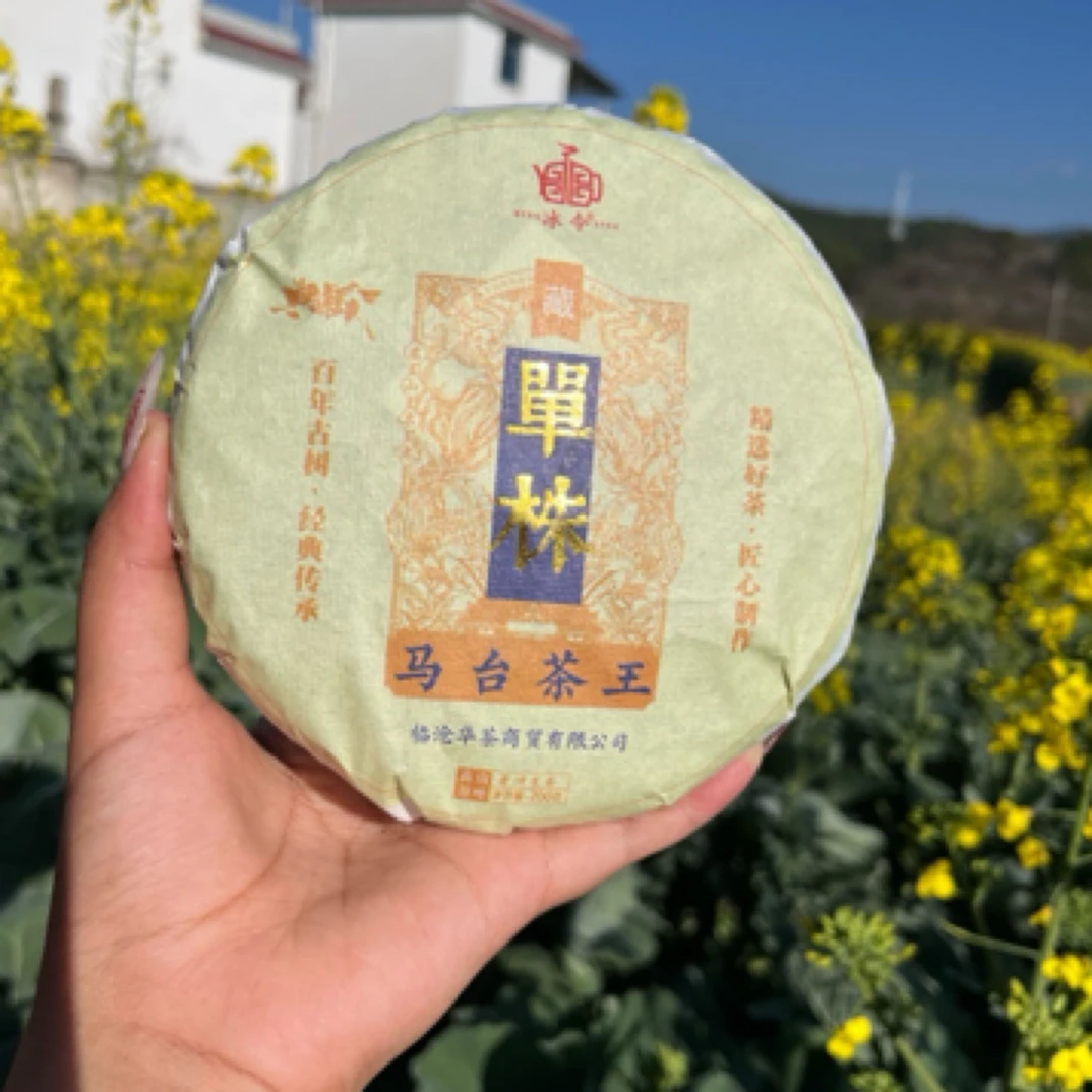 马台茶王 单株 古树纯料 普洱茶生茶 200克