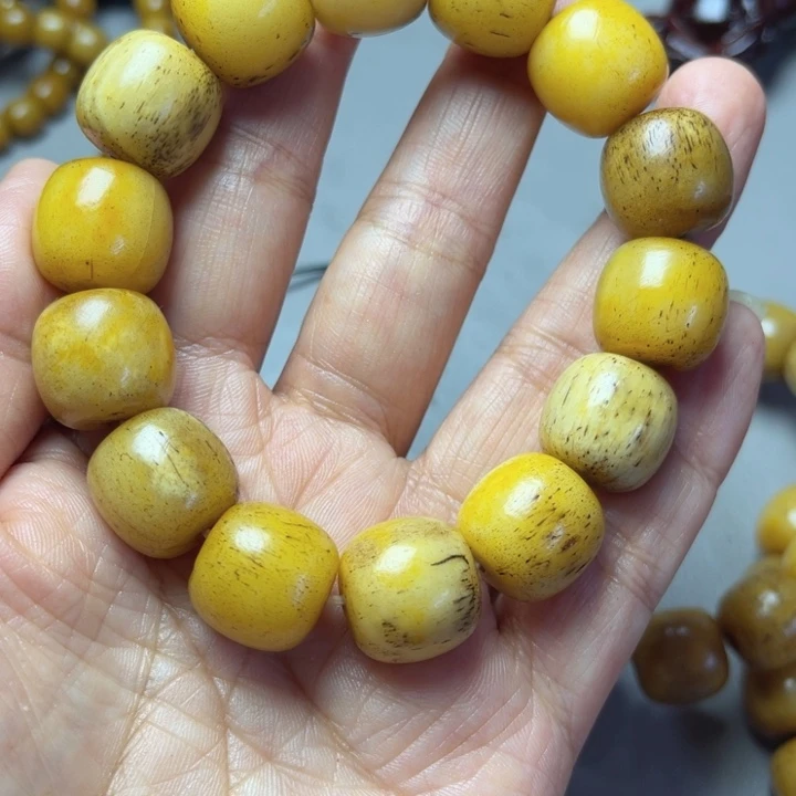 大果紫檀（缅甸花梨）