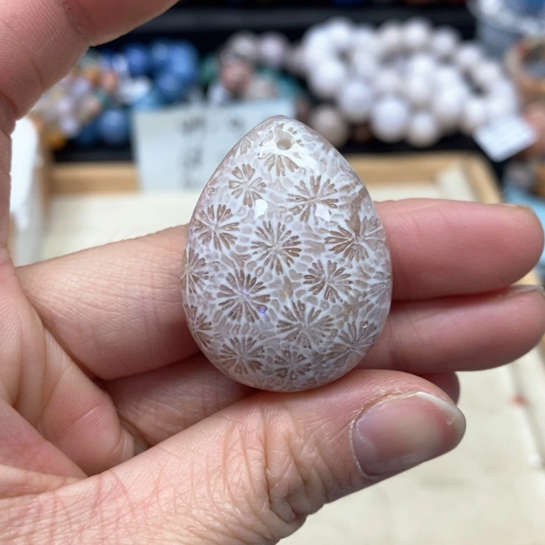 硅化珊瑚（珊瑚玉）手链未镶嵌171