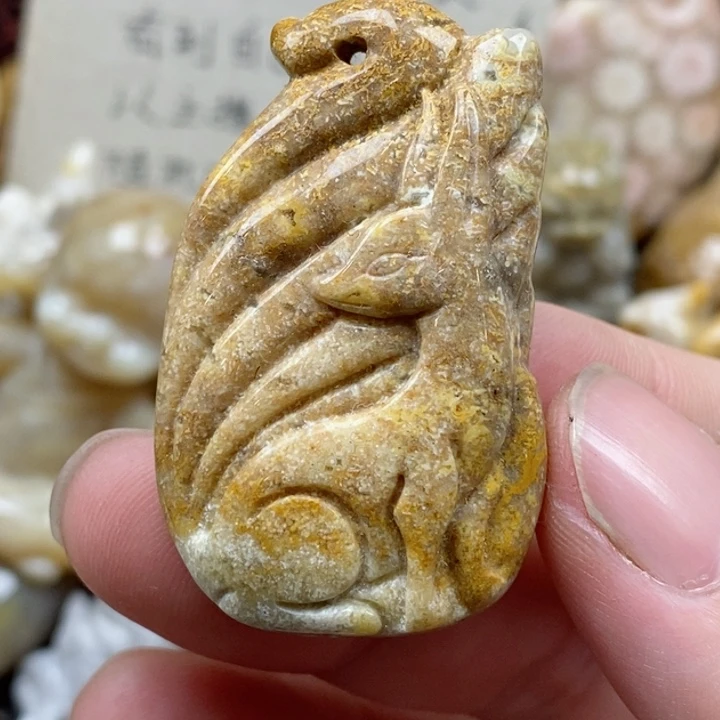 颈饰未镶嵌硅化珊瑚（珊瑚玉）