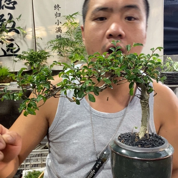 无花朵退款拉黑拉黑70