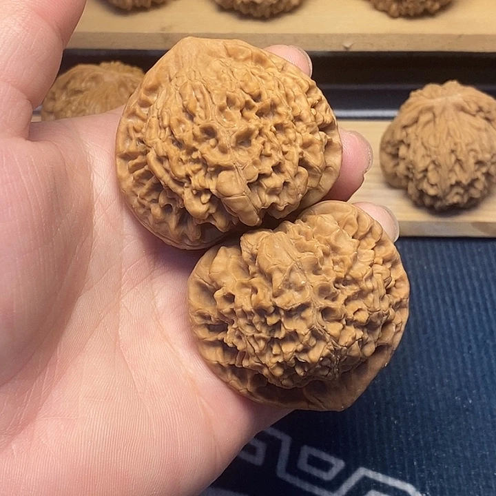 核桃50官帽福利核桃